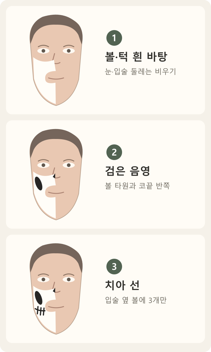 반쪽 해골 분장을 흰 바탕, 볼·코 음영, 입 옆 치아 선 순으로 그리는 도식