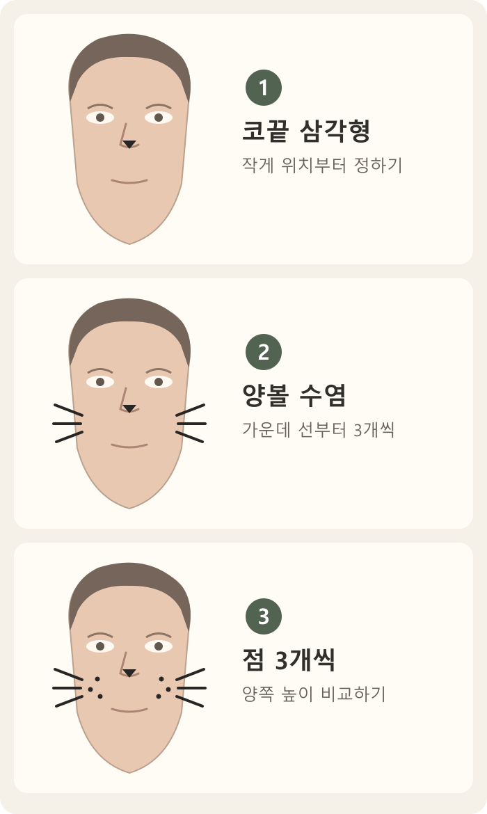 고양이 분장을 코끝 삼각형, 양볼 수염, 점 순서로 그리는 도식